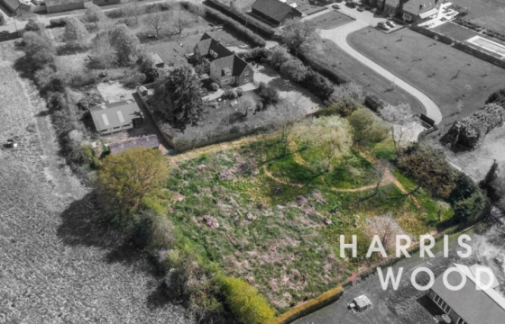 Plot for sale in Ardleigh photo